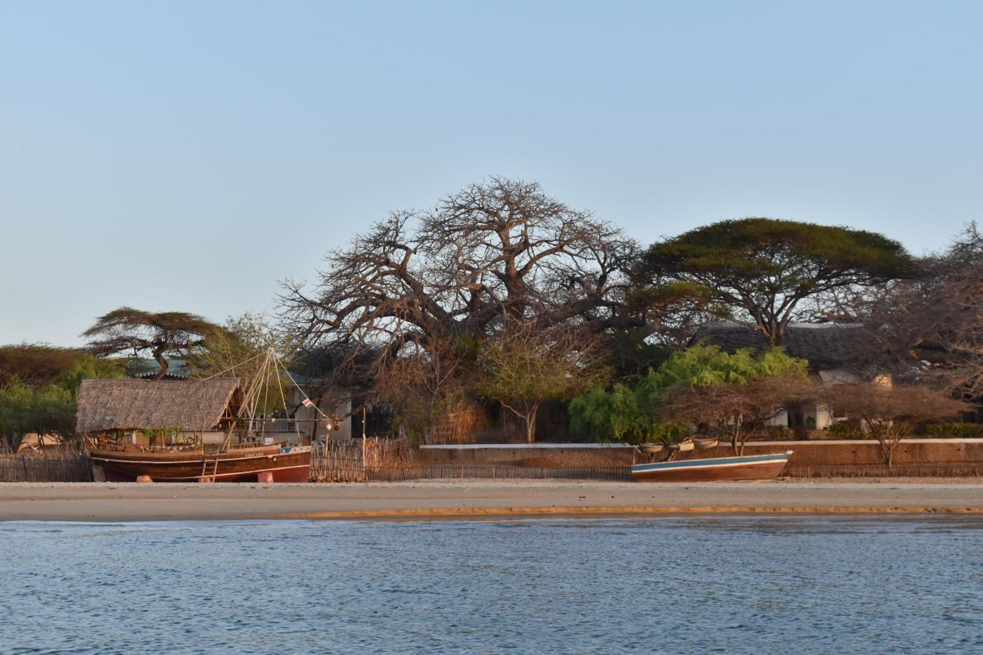 Hotel Amu House Lamu Zewnętrze zdjęcie